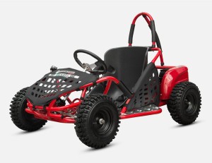 Buggy Gokarty Spalinowe I Elektryczne Dla Dzieci I Doroslych