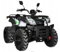 QUAD ALFARAD 200cc AD200 LION Z HOMOLOGACJĄ automat zielony