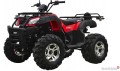 quad-atv-bashan-200-cruiser-salon-wroclaw-okazja-500207070.jpg