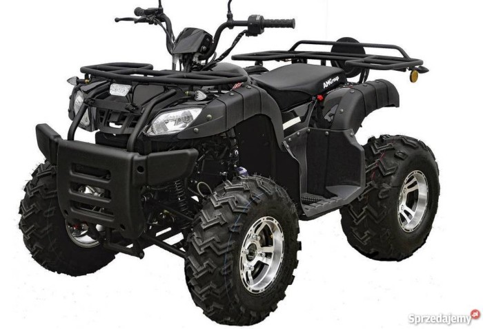 quad-atv-bashan-200-cruiser-salon-wroclaw-okazja-dolnoslaskie-sprzedam-500207073.jpg