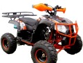 QUAD KXD 002/8 002 TRYTON 8" 125cc PRO automat