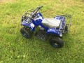 MINI QUAD KXD M7/6 50cc E-Start niebieski