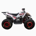 Quad Benyco Gecon 8" 125 cc automat gekon