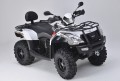 QUAD GOES 550 COBALT MAX z homologacją 4x4 automat