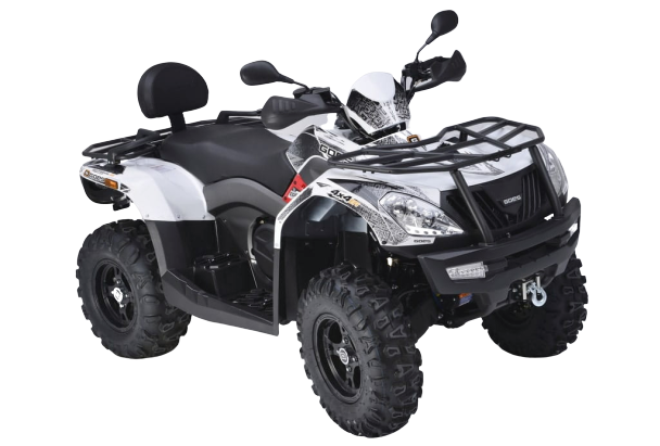 11811-removebg-preview (1).png