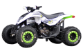 Quad MAD MAX 250cc manual - FUXIN