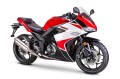 Zipp PRO XT RS 125cc - ścigacz 125 - EURO 4 - NOWOŚĆ!!!