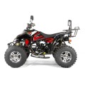 quad-bashan-xone-250cm3-homologacja-drogowa-alu (2).jpg