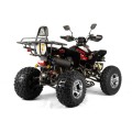 quad-bashan-xone-250cm3-homologacja-drogowa-alu (3).jpg