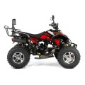 quad-bashan-xone-250cm3-homologacja-drogowa-alu (5).jpg