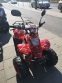 Quad Beretta Spider 110cc 7" automat czerwony