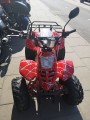 Quad Beretta Spider 110cc 7" automat czerwony