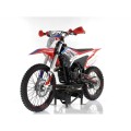 Full Cross RFZ Lizzard 250cc lampa - Apollo