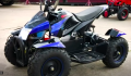 Mini quad Light 6" 50cc E-Start - Kraftwele