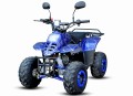 Quad Beretta Spider 125cc 7" automat niebieki