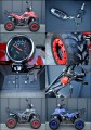 Quad Beretta Spider 125cc 7" automat akcesaoria