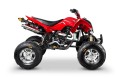 BARTON QUAD MONSTER 200 - 200cc - z chłodnicą!