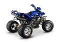 BARTON QUAD WARRIOR 250 - 250cc - z chłodnicą!