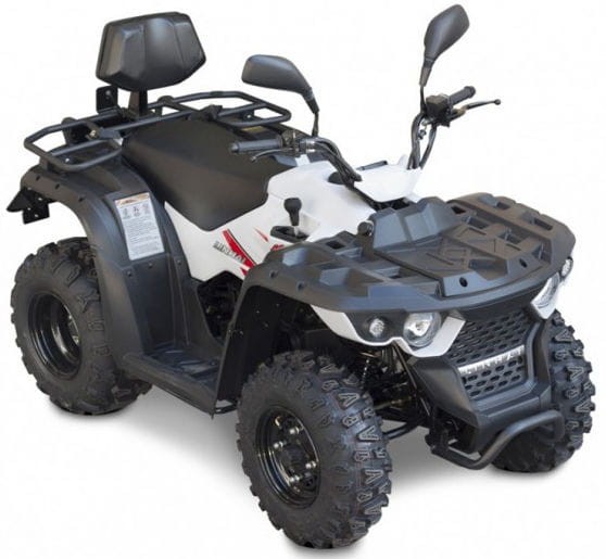 Quad Linhai M150 - 150cc - 10" automat biało-czarny