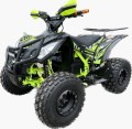 Quad BERETTA SPORT ECO 1000W elektryczny 8" automat duży