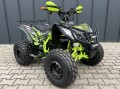 Quad BERETTA SPORT ECO 1000W elektryczny 8" automat duży