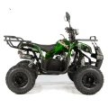 Quad XTR PHYTON 006/7 125CC AUTOMAT casmo mat
