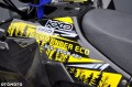 Quad KXD Commander ECO 1000W elektryczny 8" automat niebieski