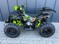 Quad Beretta 250cc BARACUDA zintegrowana wyciągarka, kufer, podświetlenie zielony