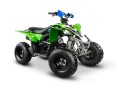 barton_motors10244_2.jpg