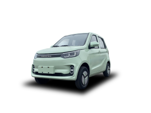  Czterokołowiec elektryczny samochód  lekki SHARK - EURO 5 