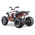 QUAD KAYO A300 300cc - EURO 5