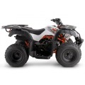 Quad KAYO AU150 CVT 150cc - EURO 5 - BOK