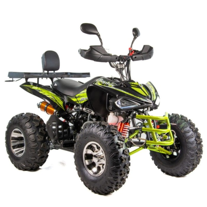 quad-xtr-raptor-250cm3.jpg