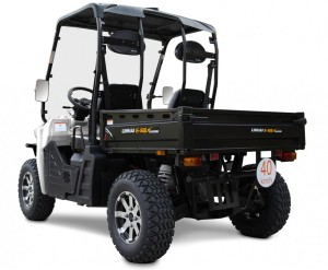 UTV E-5S Electric 2x4