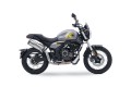 trofeo-525acx-studio-3-179045204.jpg