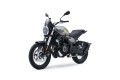 trofeo-525acx-studio-6-3794644938.jpg