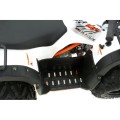 quad-kayo-au110d.jpg