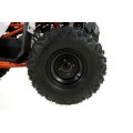 quad-kayo-au110f.jpg