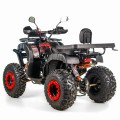 QUAD 012 10 PRO 250 2 (1).jpg tylne lampy