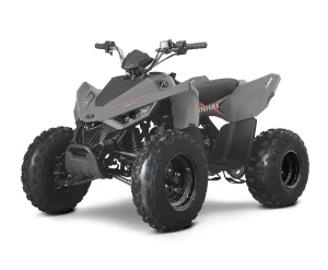 Quad ATV 110