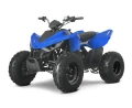 Quad ATV 110