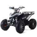 QUAD ASIX AVATAR - 250cm3 Dolny Śląsk