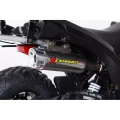 QUAD ASIX AVATAR tani