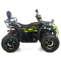 Quad XTR FARMER X1 PRO 250CM3 czarno-limonkowy