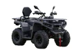 Quad Diabolini TERRAX300 200cc.webp