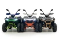 ASIX Grizzly 125cc dolny śląsk.webp