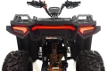 Quad ASIX Grizzly.webp