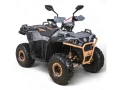 ASIX Grizzly 125cc wrocław.webp