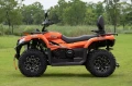 Quad Diabolini BEAST450 nowy.webp