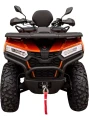Quad Diabolini BEAST450.webp